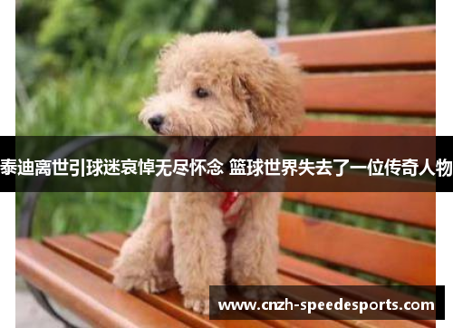 泰迪离世引球迷哀悼无尽怀念 篮球世界失去了一位传奇人物