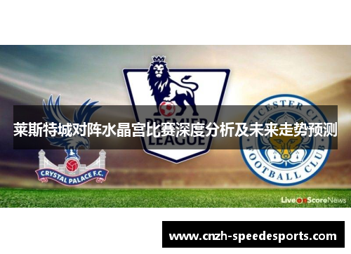 莱斯特城对阵水晶宫比赛深度分析及未来走势预测 莱斯特城对阵水晶宫比赛深度分析及未来走势预测