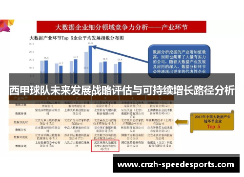 西甲球队未来发展战略评估与可持续增长路径分析 西甲球队未来发展战略评估与可持续增长路径分析